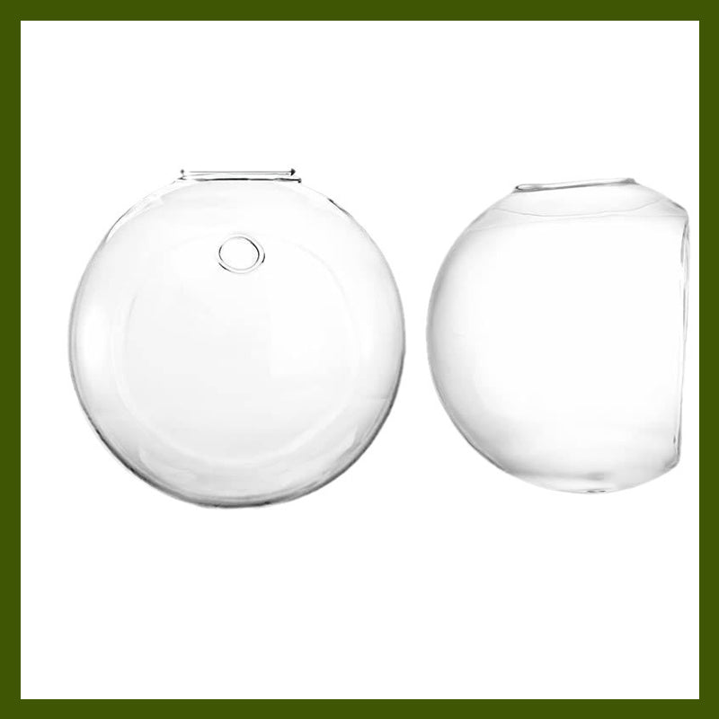 Zvýraznite svoje rastliny na svojich stenách, bez vŕtania 