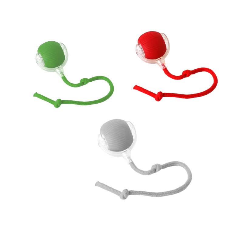 Bouncing toy for active and curious cats 