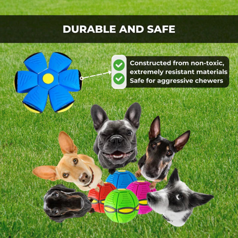 Den studsig leksaken som väcker alla hundar 